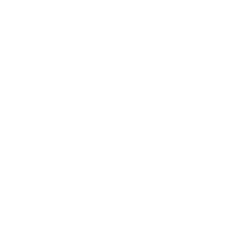Software Programming