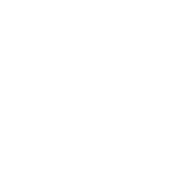 Stamping Press